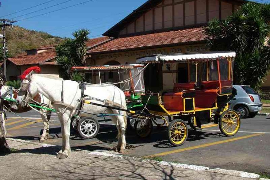 Conselho Municipal pede que vereadores aprovem fim das charretes