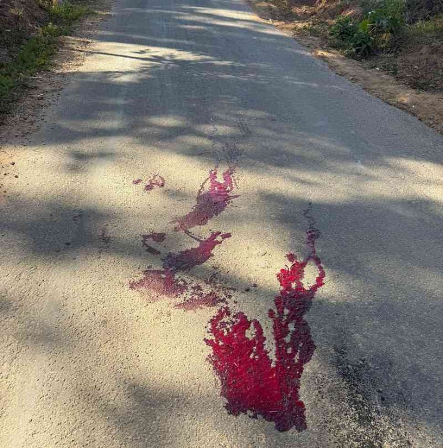 Após morte de cão comunitário, comunidade cobra redutor
