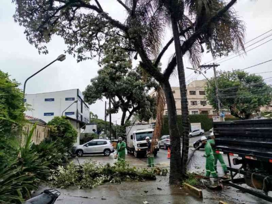 Chuvas fortes provocam estragos em Poços de Caldas