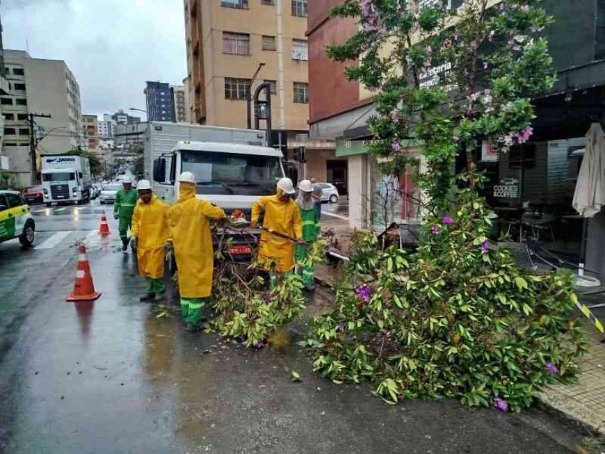 Chuvas fortes provocam estragos em Poços de Caldas