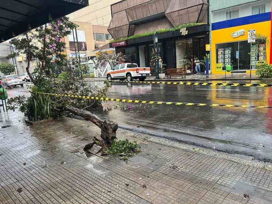 Chuvas fortes provocam estragos em Poços de Caldas