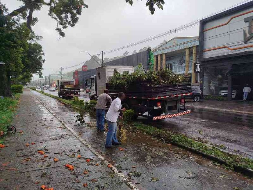 Chuvas fortes provocam estragos em Poços de Caldas