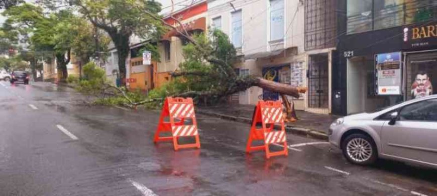 Chuvas fortes provocam estragos em Poços de Caldas