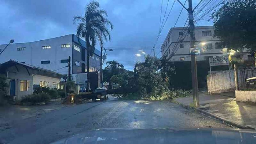 Chuvas fortes provocam estragos em Poços de Caldas