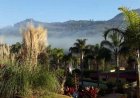 Jardim Botânico tem inquérito arquivado pelo MP