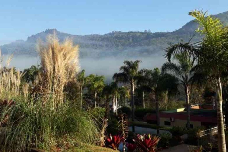 Jardim Botânico passa a  abrir aos sábados e domingos