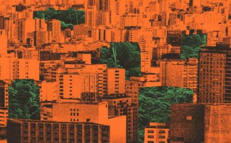 O crepúsculo sob tempestades: o impacto  das mudanças climáticas no envelhecimento