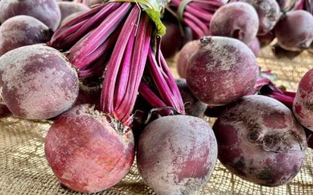 Feira de Produtos Orgânicos de Poços muda para a Praça das Rosas