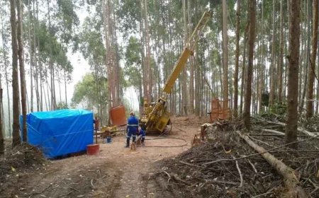 Power Minerals adquire projeto de terras raras em Poços de Caldas