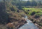 Operação flagra desmatamento e queimadas em área de preservação em Caldas