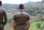 Desmatamento da Mata Atlântica cai no Brasil e Minas mantém redução nos últimos anos