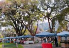 Expo-Arte de Rua: Prefeitura apresenta proposta de modernização