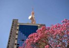 Servidores emitem manifesto contra o fechamento da TV Princesa em Varginha