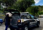 Polícia prende homem em flagrante por violência doméstica