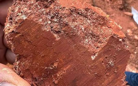 Reunião discute riscos da exploração de terras raras em Poços