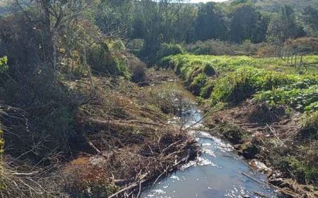 Operação flagra desmatamento e queimadas em área de preservação em Caldas