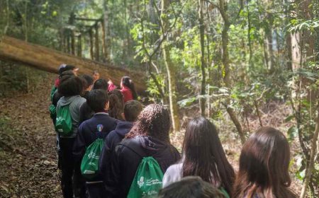 Parque Ambiental da Alcoa celebra 33 anos