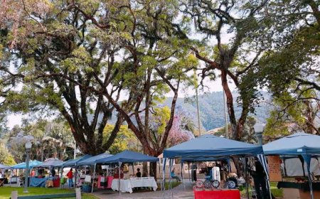 Expo-Arte de Rua: Prefeitura apresenta proposta de modernização