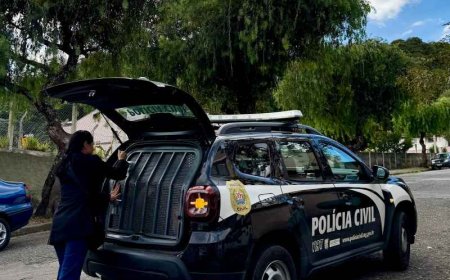 Polícia prende homem em flagrante por violência doméstica