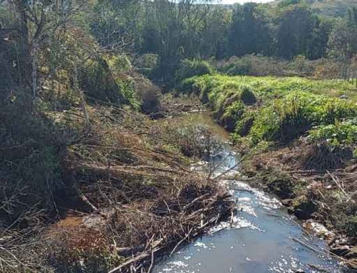 Operação flagra desmatamento e queimadas em área de preservação em Caldas