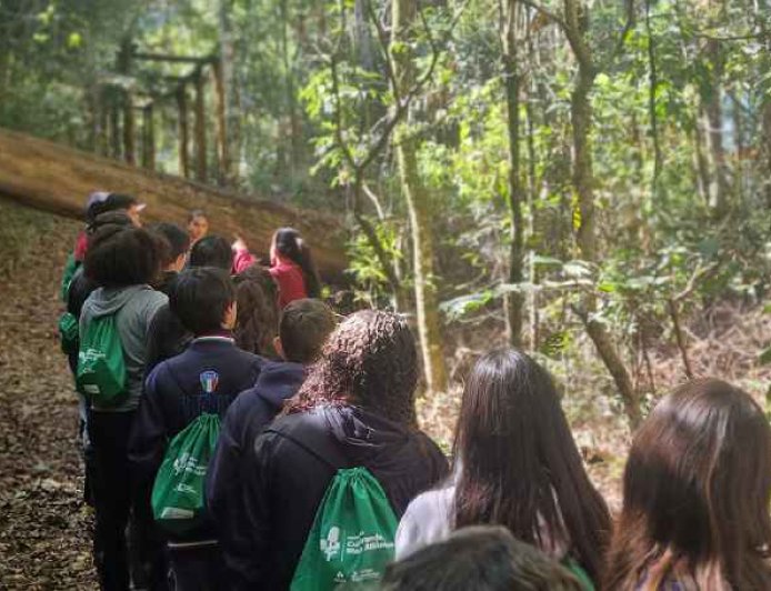 Parque Ambiental da Alcoa celebra 33 anos