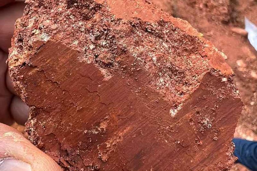 Reunião discute riscos da exploração de terras raras em Poços