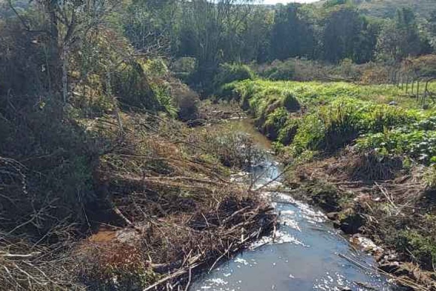 Operação flagra desmatamento e queimadas em área de preservação em Caldas