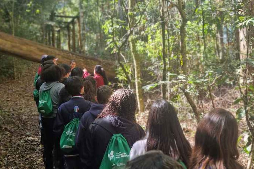 Parque Ambiental da Alcoa celebra 33 anos
