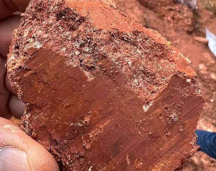 Reunião discute riscos da exploração de terras raras em Poços