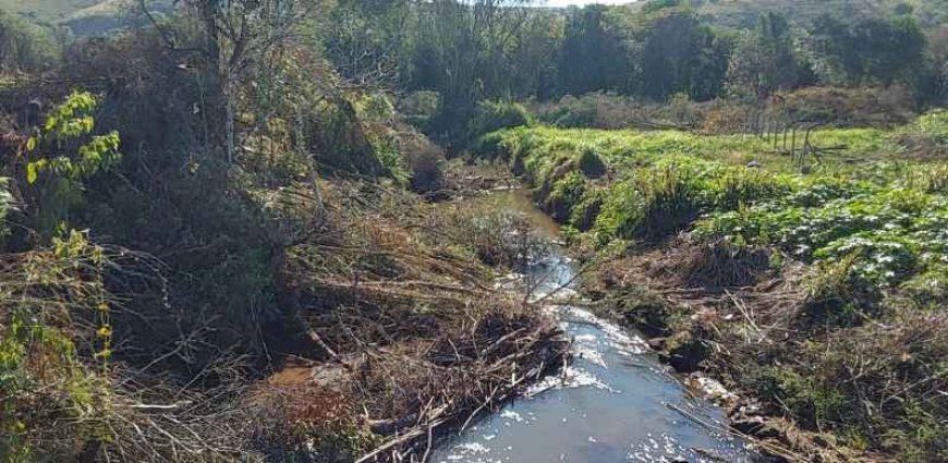 Operação flagra desmatamento e queimadas em área de preservação em Caldas