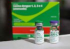 Poços suspende parcialmente a vacinação contra a dengue