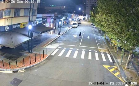 Polícia prende mulher investigada por série de furtos em Poços