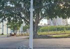 Carreta atinge poste e deixa mais de 5 mil sem energia