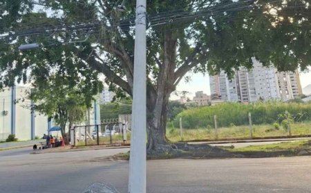 Carreta atinge poste e deixa mais de 5 mil sem energia em Poços