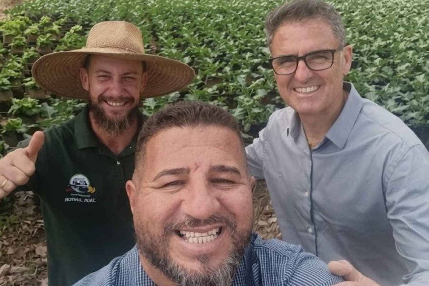 Produtor de Poços cria método que cultiva brócolis na areia