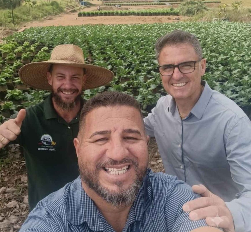 Produtor de Poços cria método que cultiva brócolis na areia