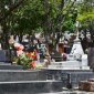 Cemitério da Saudade - Jornal da Cudade