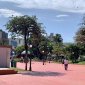 Praça dos Macacos - Jornal da Cidade