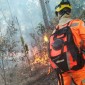 incêndio-na-zona-rural-de-Caldas - Jornal da Cidade