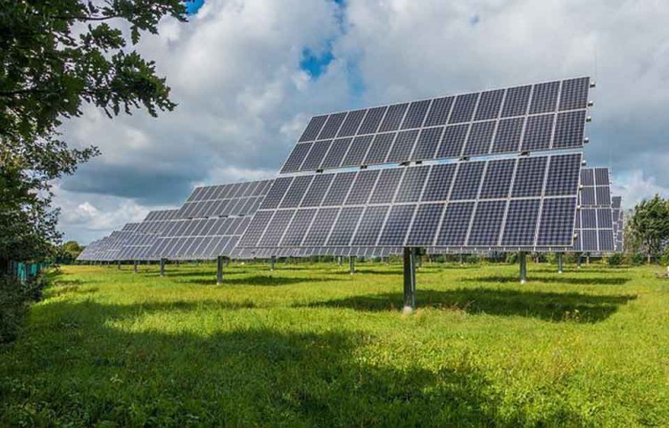 agronegócio-energia-solar (1)